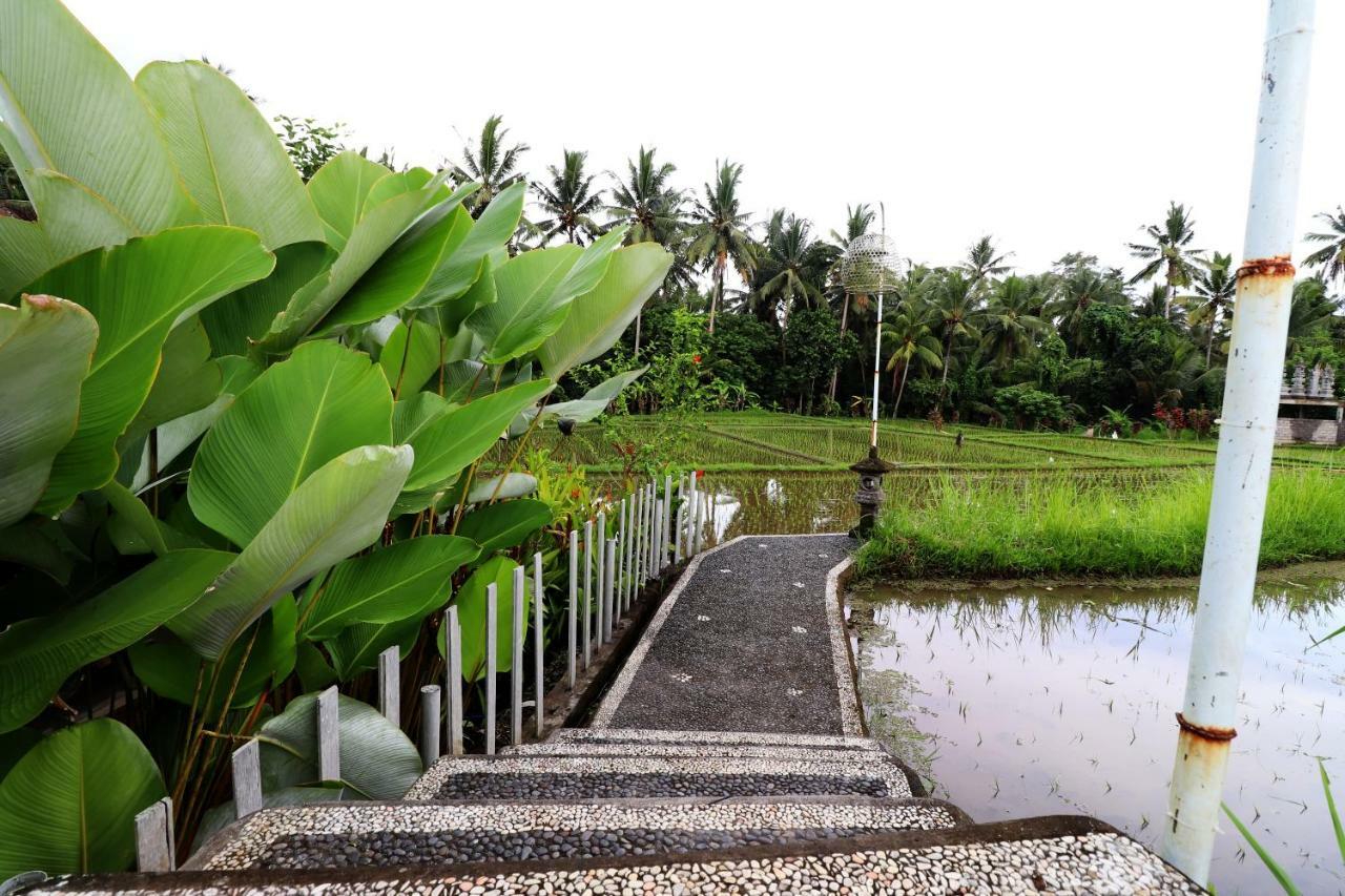 Villa Tirta Padi 2 Ubud Exterior photo